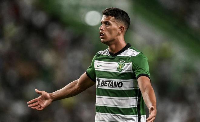 往海牛队进 往海牛队进