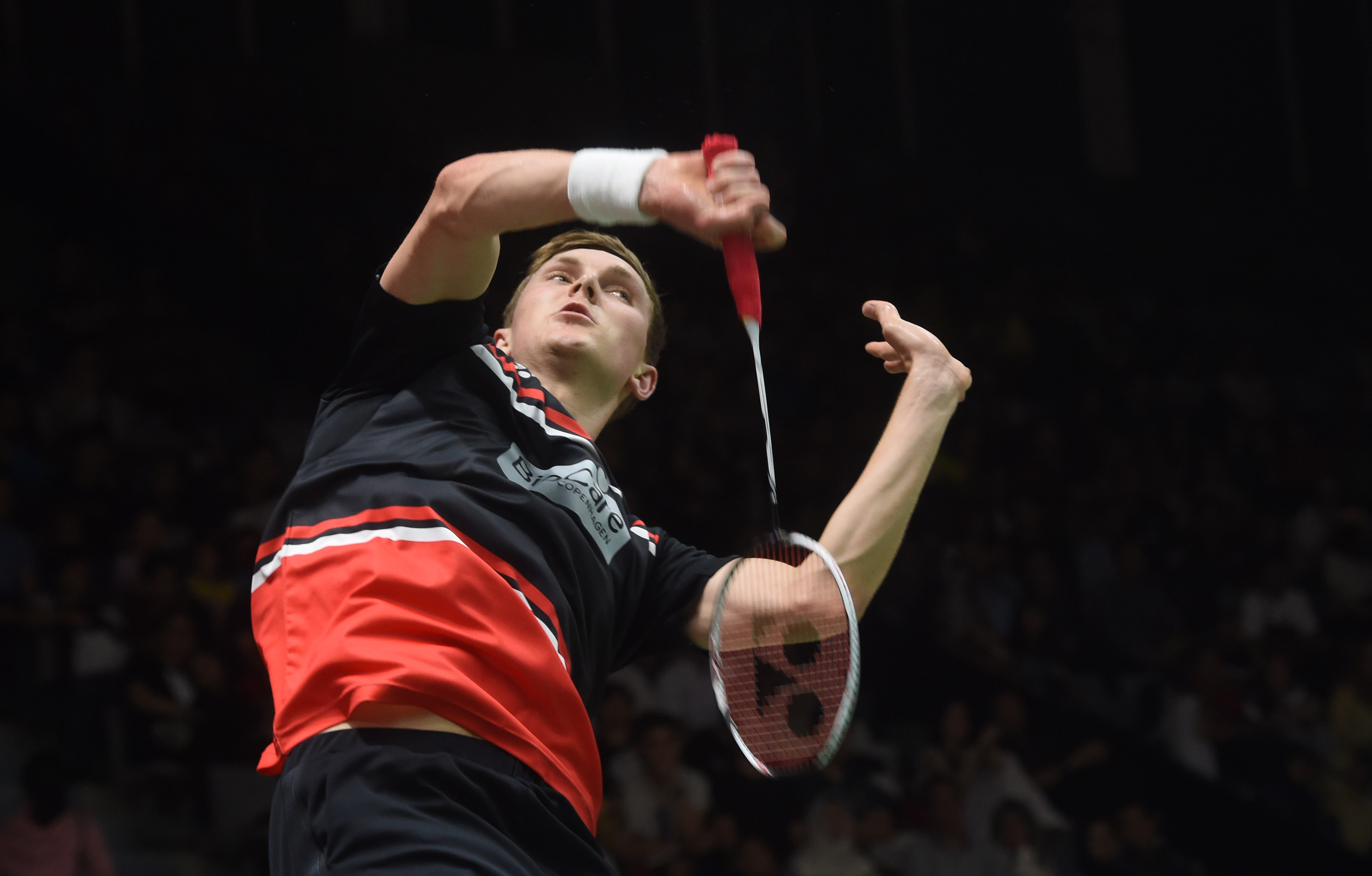 他们曾成功 他们曾成功